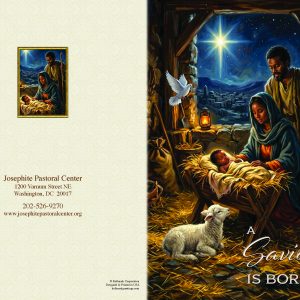 The 2027 Christmas Cards